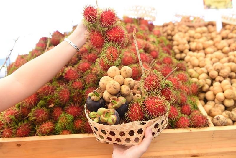 ท็อปส์ จัดบิ๊กอีเว้นเสิร์ฟบุฟเฟ่ต์ทุเรียนกลางกรุง “The Original Thailand’s Amazing Durian and Fruit Fest 2019” ต้นตำรับเทศกาลบุฟเฟ่ต์ทุเรียนและสุดยอดผลไม้ไทยที่ใหญ่ที่สุดในประเทศไทย