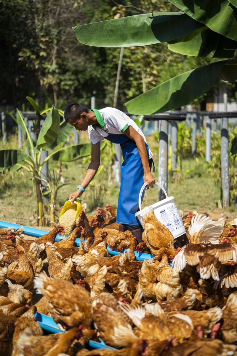 กลุ่มเซ็นทรัล ได้ร่วมเป็นส่วนหนึ่งในการสนับสนุนและรับซื้อผลผลิตไข่ไก่