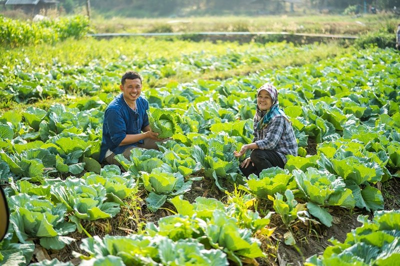 "Central Tham" drives the community economy, improves the quality of life, protects the environment, and contributes to sustainable tourism.