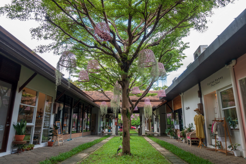 Central Group invites everyone to "Jing Jai Market" in Jing Jai Central,  a must-see check-in spot in Chiang Mai.